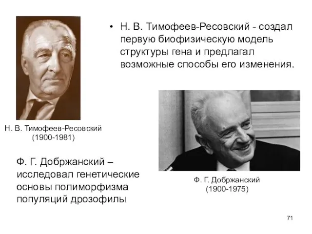 Н. В. Тимофеев-Ресовский - создал первую биофизическую модель структуры гена и предлагал возможные