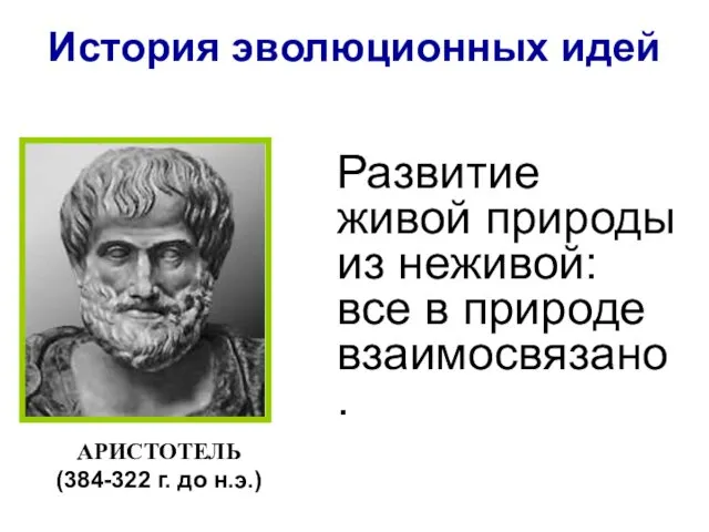 Развитие живой природы из неживой: все в природе взаимосвязано. История эволюционных идей АРИСТОТЕЛЬ