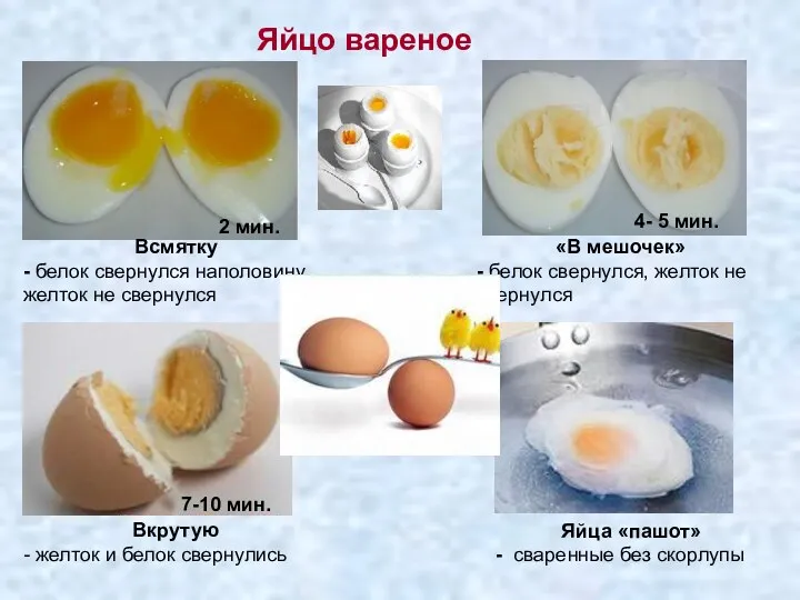 Яйцо вареное Яйца «пашот» - сваренные без скорлупы Всмятку - белок свернулся наполовину,