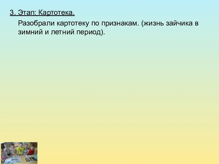 3. Этап: Картотека. Разобрали картотеку по признакам. (жизнь зайчика в зимний и летний период).