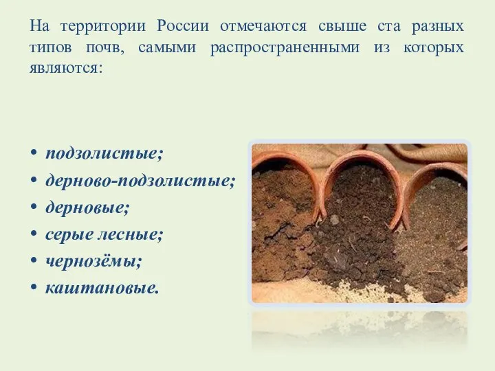На территории России отмечаются свыше ста разных типов почв, самыми