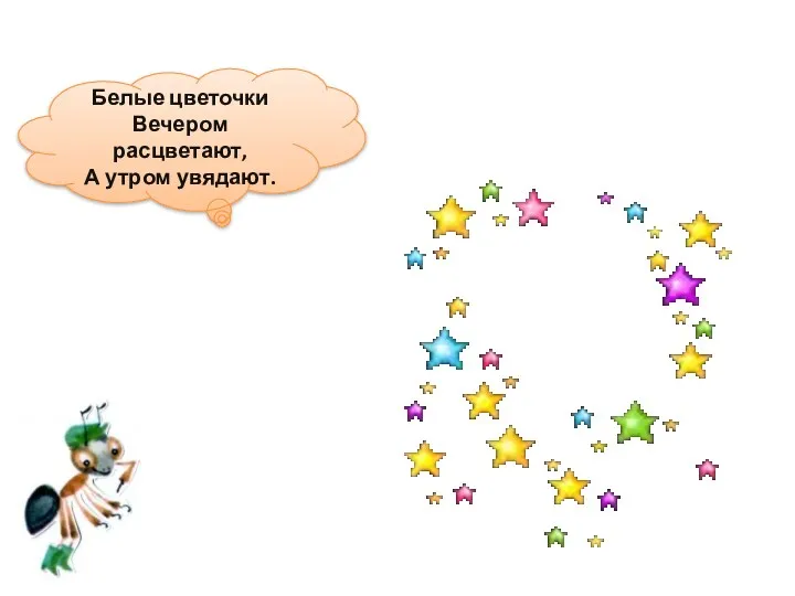 Белые цветочки Вечером расцветают, А утром увядают.