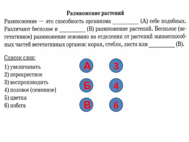 А Б В 3 4 6