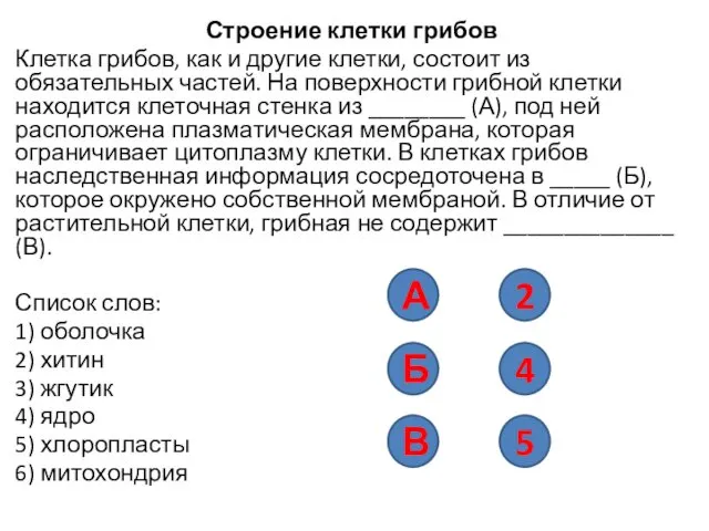 Строение клетки грибов Клетка грибов, как и другие клетки, состоит