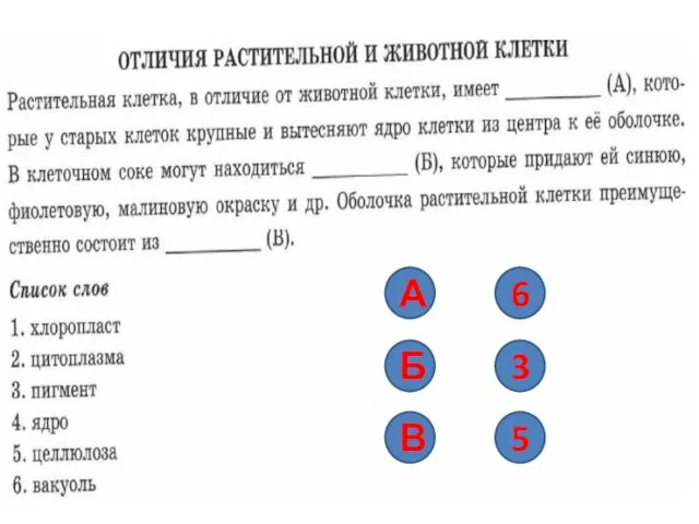 А Б В 6 3 5