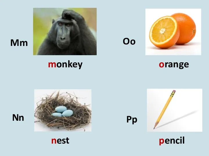 Mm Nn Oo Pp monkey nest orange pencil