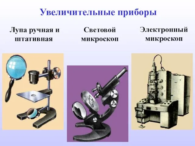 Лупа ручная и штативная Световой микроскоп Электронный микроскоп Увеличительные приборы