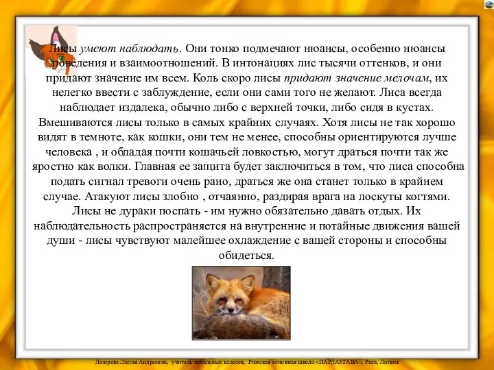 Лисы умеют наблюдать. Они тонко подмечают нюансы, особенно нюансы поведения