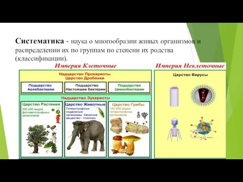 Систематика - наука о многообразии живых организмов и распределении их по группам по
