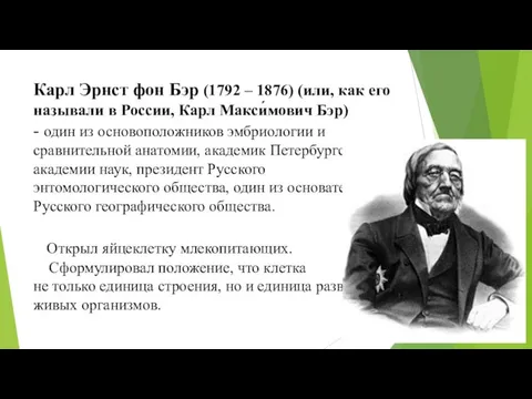 Карл Эрнст фон Бэр (1792 – 1876) (или, как его называли в России,