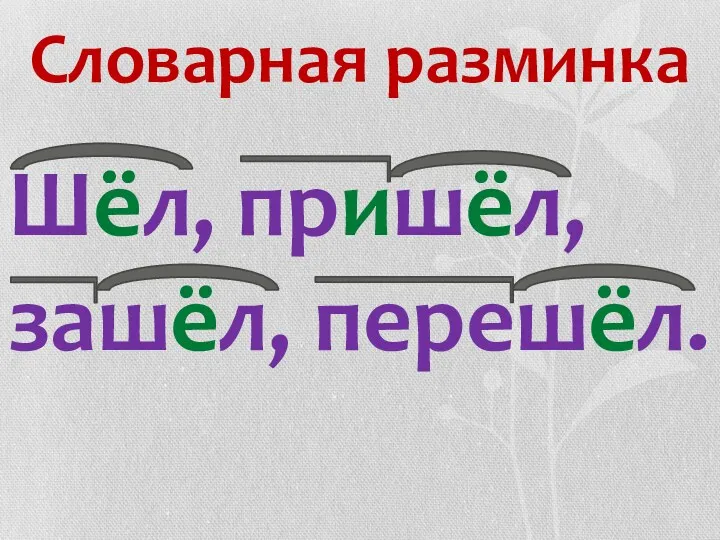 Словарная разминка Шёл, пришёл, зашёл, перешёл.