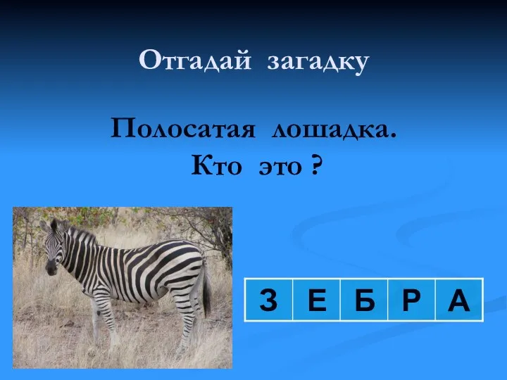 Отгадай загадку Полосатая лошадка. Кто это ? З Е Б Р А