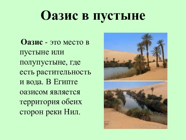 Оазис в пустыне Оазис - это место в пустыне или полупустыне, где есть