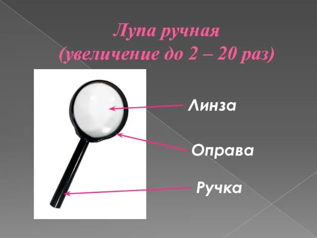 Лупа ручная (увеличение до 2 – 20 раз) Линза Оправа Ручка