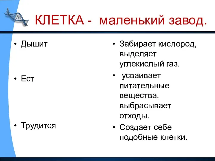 КЛЕТКА - маленький завод. Дышит Ест Трудится Забирает кислород, выделяет