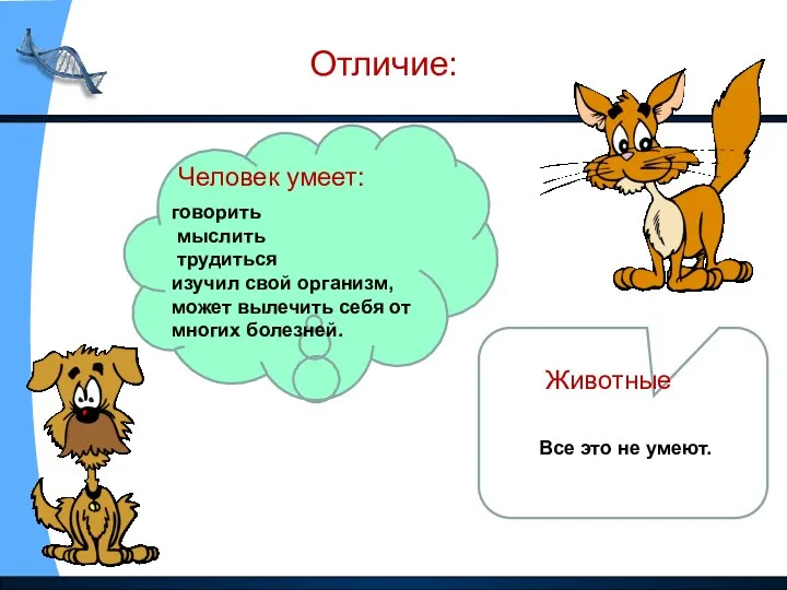 Отличие: Человек умеет: говорить мыслить трудиться изучил свой организм, может