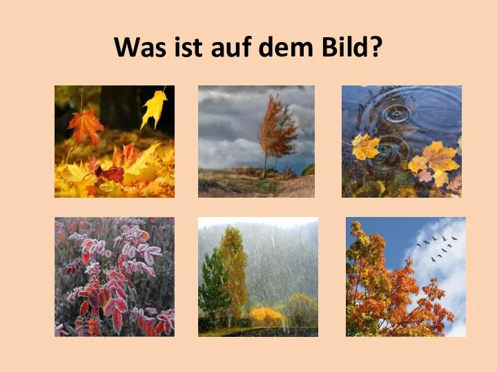 Was ist auf dem Bild?