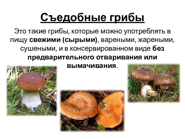 Съедобные грибы Это такие грибы, которые можно употреблять в пищу свежими (сырыми), вареными,