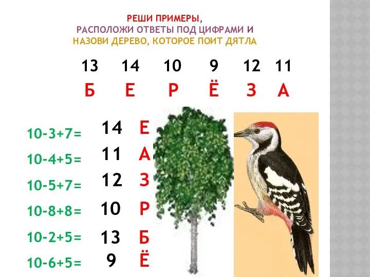 Реши примеры, расположи ответы под цифрами и Назови дерево, которое