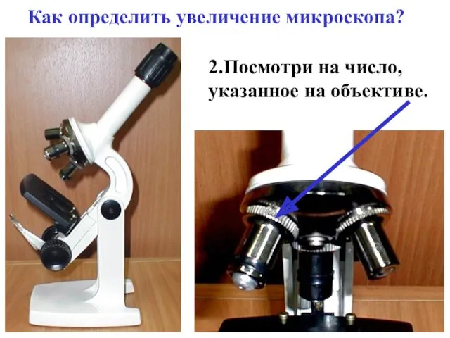 Как определить увеличение микроскопа? 2.Посмотри на число, указанное на объективе.