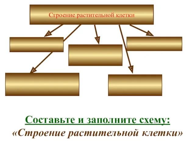 Строение растительной клетки Составьте и заполните схему: «Строение растительной клетки»