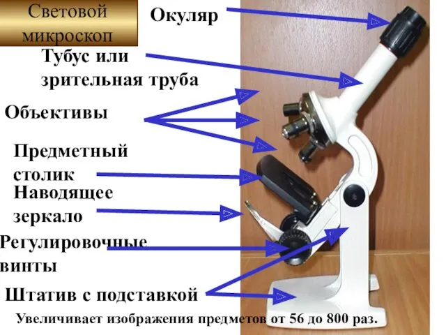 Увеличивает изображения предметов от 56 до 800 раз. Окуляр Тубус