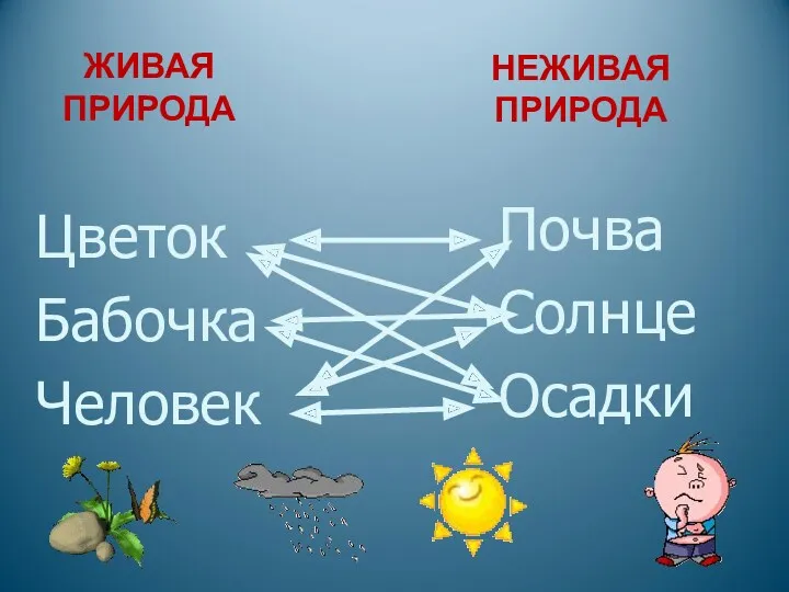 Цветок Бабочка Человек Почва Солнце Осадки НЕЖИВАЯ ПРИРОДА ЖИВАЯ ПРИРОДА