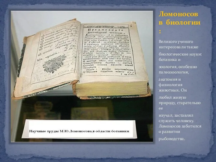 Ломоносов в биологии : Великого ученого интересовали также биологические науки: ботаника и зоология,