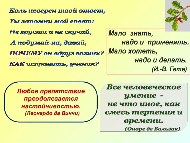 Любое препятствие преодолевается настойчивостью. (Леонардо да Винчи)