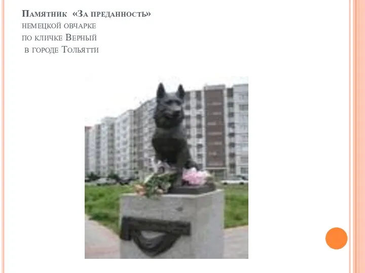 Памятник «За преданность» немецкой овчарке по кличке Верный в городе Тольятти