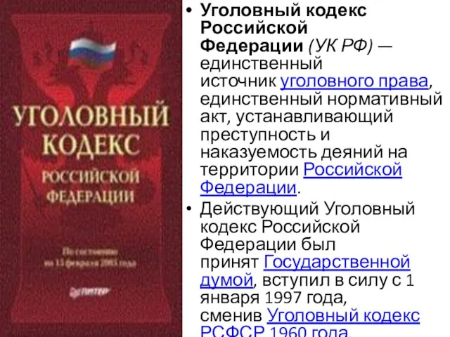 Уголовный кодекс Российской Федерации (УК РФ) — единственный источник уголовного