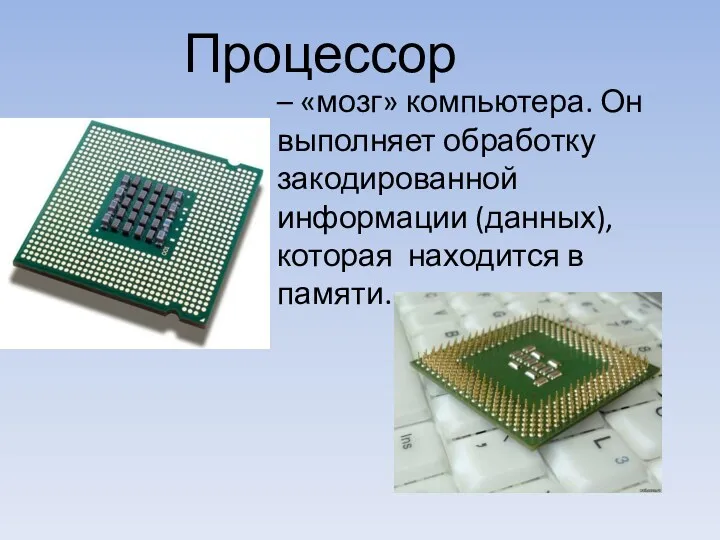 – «мозг» компьютера. Он выполняет обработку закодированной информации (данных), которая находится в памяти. Процессор