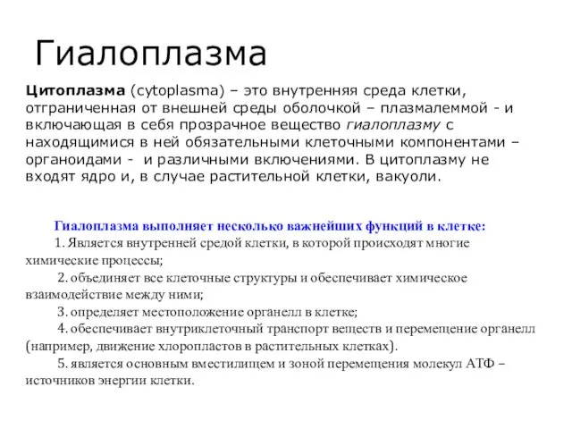 Гиалоплазма Цитоплазма (cytoplasma) – это внутренняя среда клетки, отграниченная от