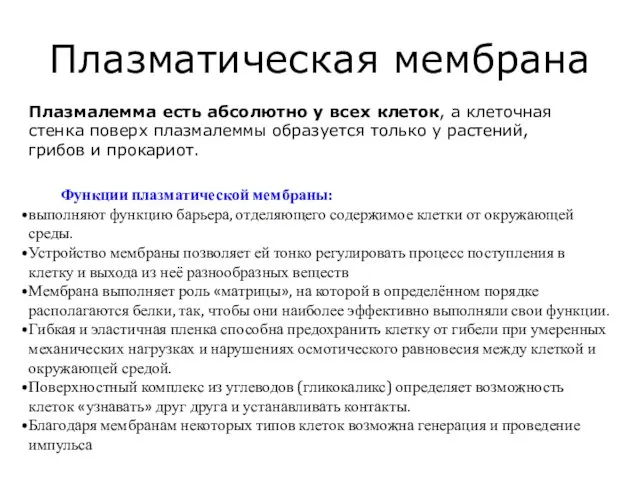 Плазматическая мембрана Плазмалемма есть абсолютно у всех клеток, а клеточная