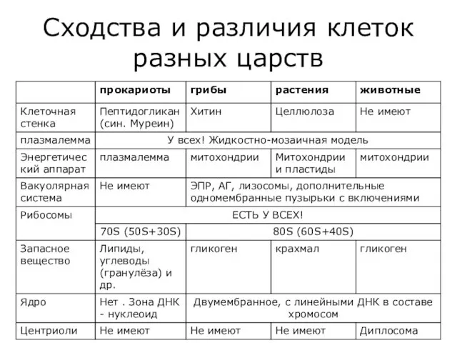 Сходства и различия клеток разных царств