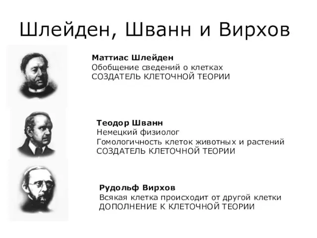 Шлейден, Шванн и Вирхов Маттиас Шлейден Обобщение сведений о клетках