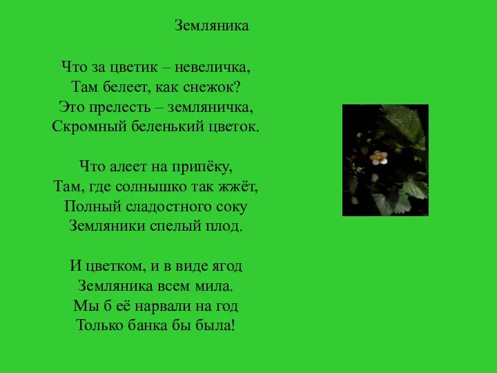 Земляника Что за цветик – невеличка, Там белеет, как снежок?