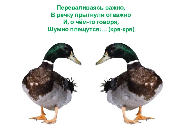 Переваливаясь важно, В речку прыгнули отважно И, о чём-то говоря, Шумно плещутся:… (кря-кря)