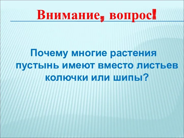 Почему многие растения пустынь имеют вместо листьев колючки или шипы? Внимание, вопрос!