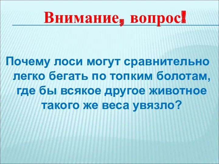 Почему лоси могут сравнительно легко бегать по топким болотам, где