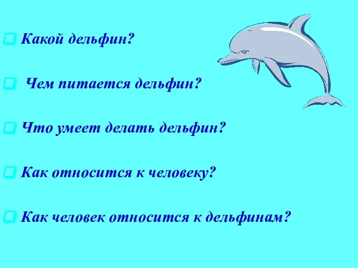 Какой дельфин? Чем питается дельфин? Что умеет делать дельфин? Как