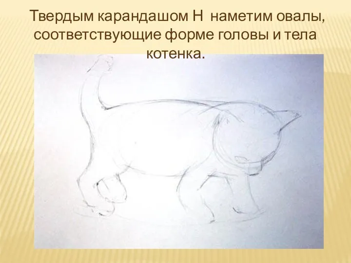 Твердым карандашом Н наметим овалы, соответствующие форме головы и тела котенка.
