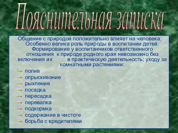 Общение с природой положительно влияет на человека. Особенно велика роль