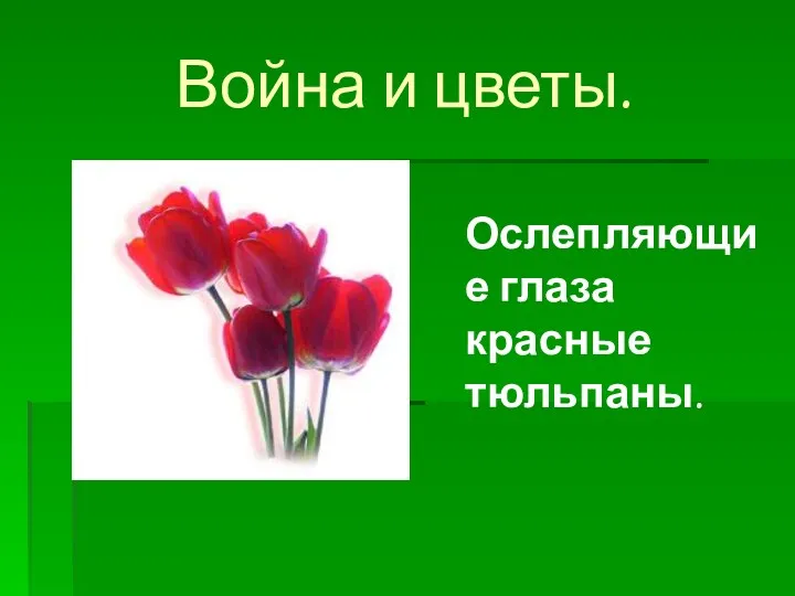 Война и цветы. Ослепляющие глаза красные тюльпаны.