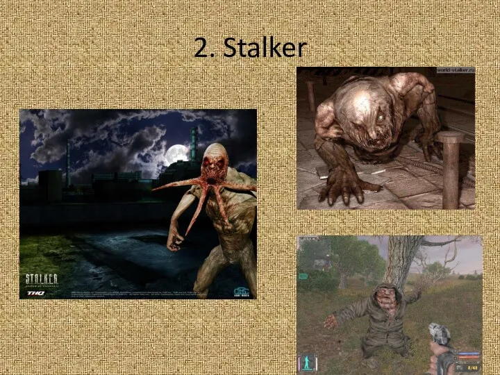 2. Stalker