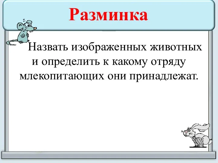 Разминка Назвать изображенных животных и определить к какому отряду млекопитающих они принадлежат.