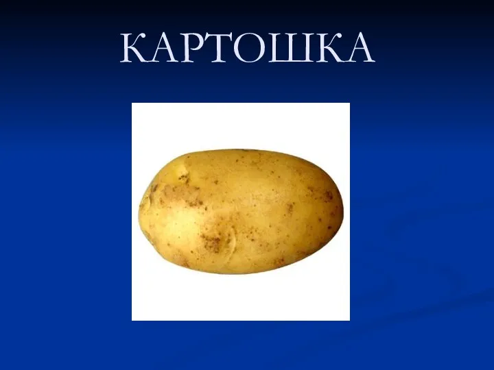 КАРТОШКА