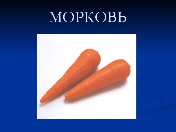 МОРКОВЬ