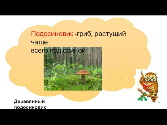 . Подосиновик -гриб, растущий чаще всего под осиной Деревянный подосиновик