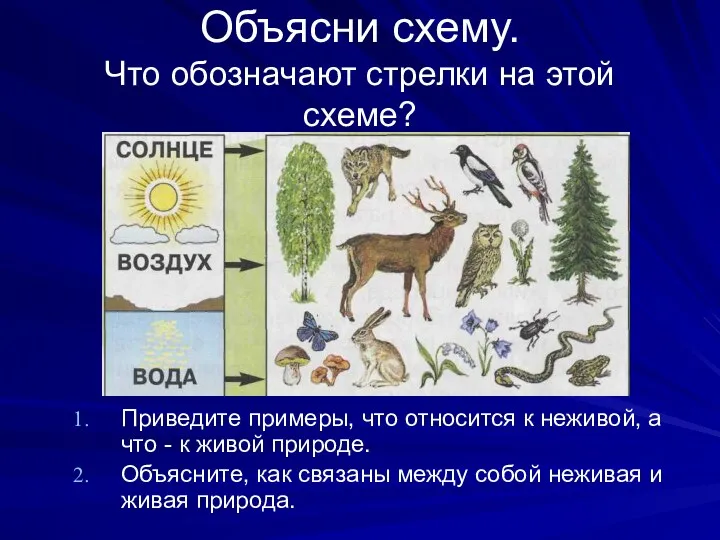 Объясни схему. Что обозначают стрелки на этой схеме? Приведите примеры, что относится к